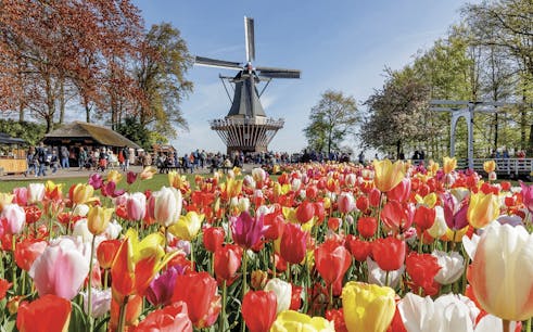 tickets to keukenhof with transfers from amsterdam-1