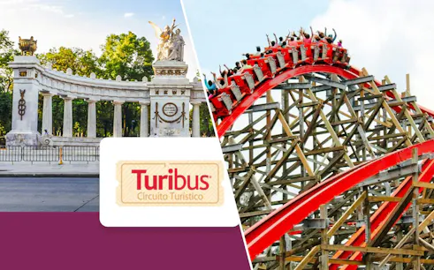 Juarez Hemicycle and Medusa Steel Coaster at Six Flags Mexico.