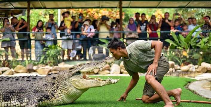 Crocodile Adventureland Langkawi Tickets