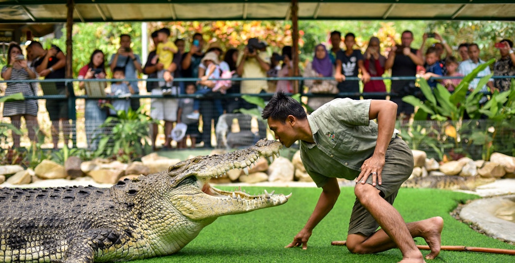 Crocodile Adventureland Langkawi Tickets