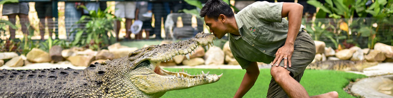 Combo: Adventureland dei coccodrilli + 1 biglietto per l'attrazione di Langkawi
