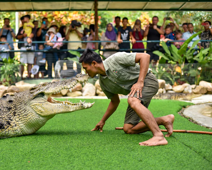 Crocodile Adventureland Langkawi Tickets