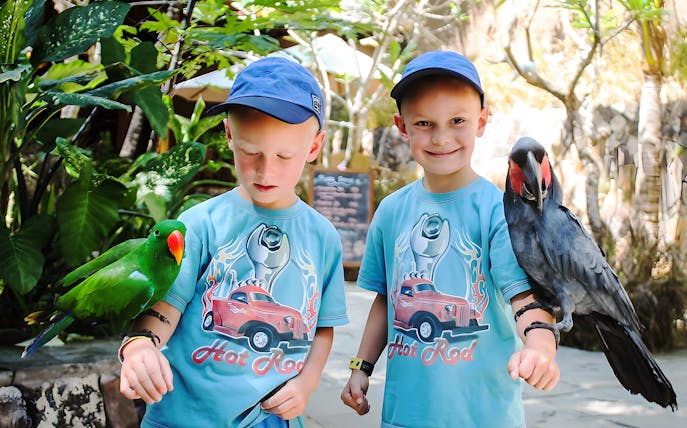 Children interacting with parrots at Lombok Wildlife Park.