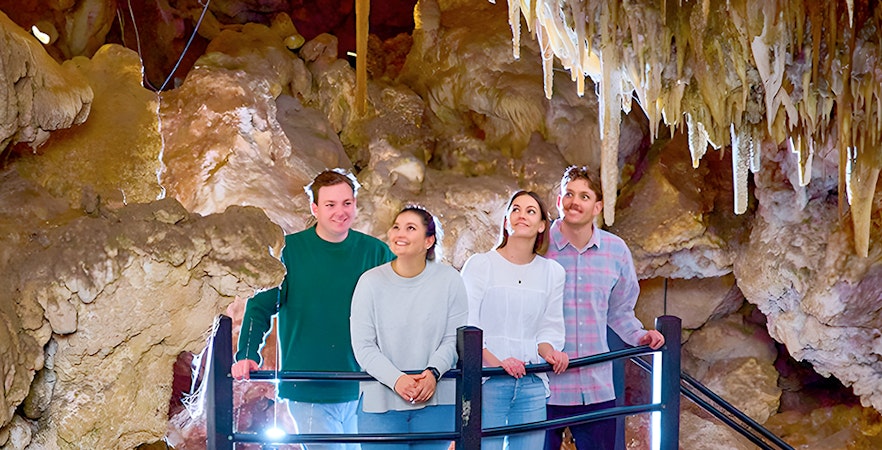 Coups de cœur pour les fêtes de fin d'année