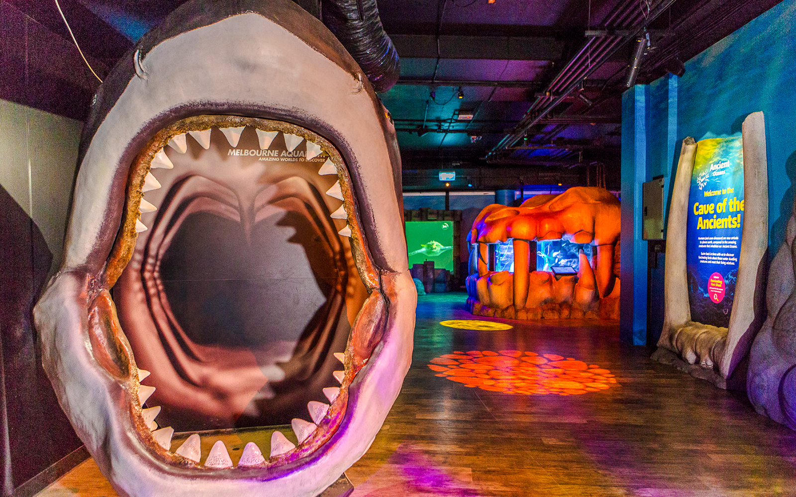 Cave of the Ancients exhibit entrance at SEA LIFE Melbourne with shark jaw display.