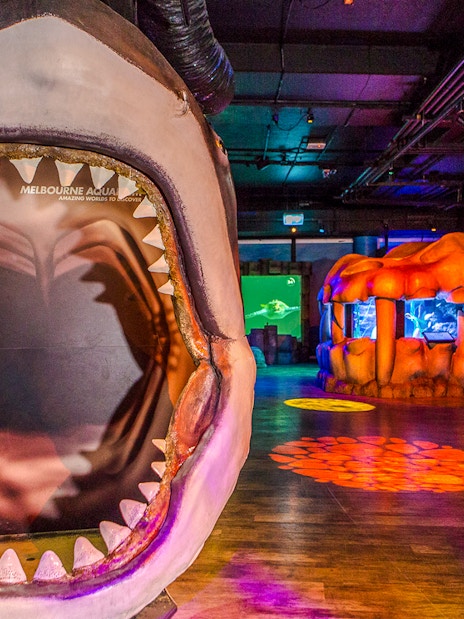 Cave of the Ancients exhibit entrance at SEA LIFE Melbourne with shark jaw display.