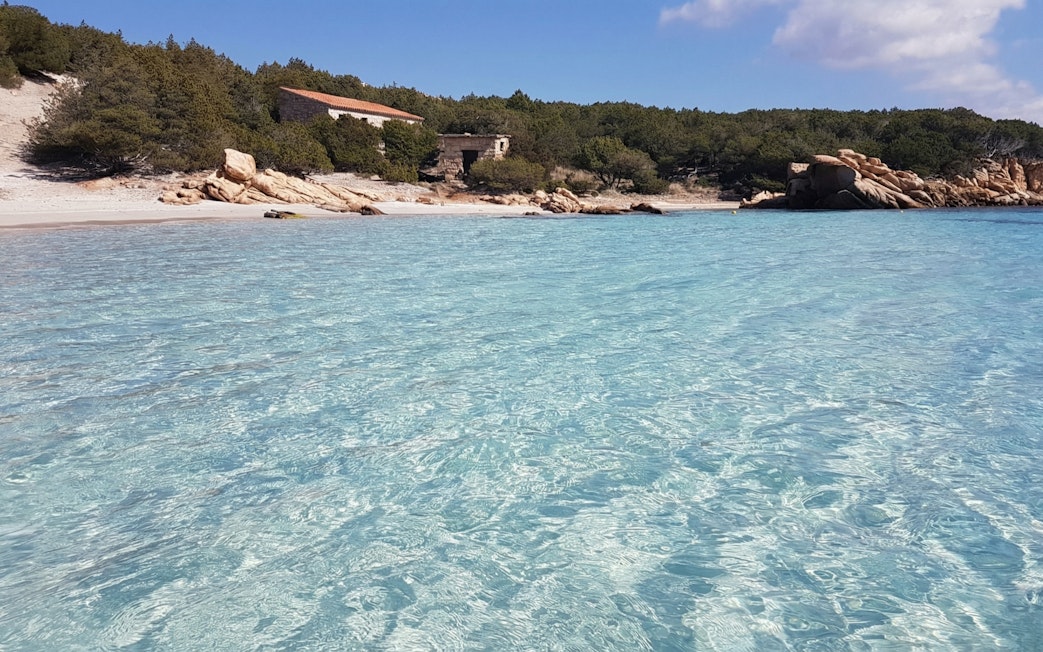 La Maddalena Archipelago beach with clear turquoise water and rocky shoreline.