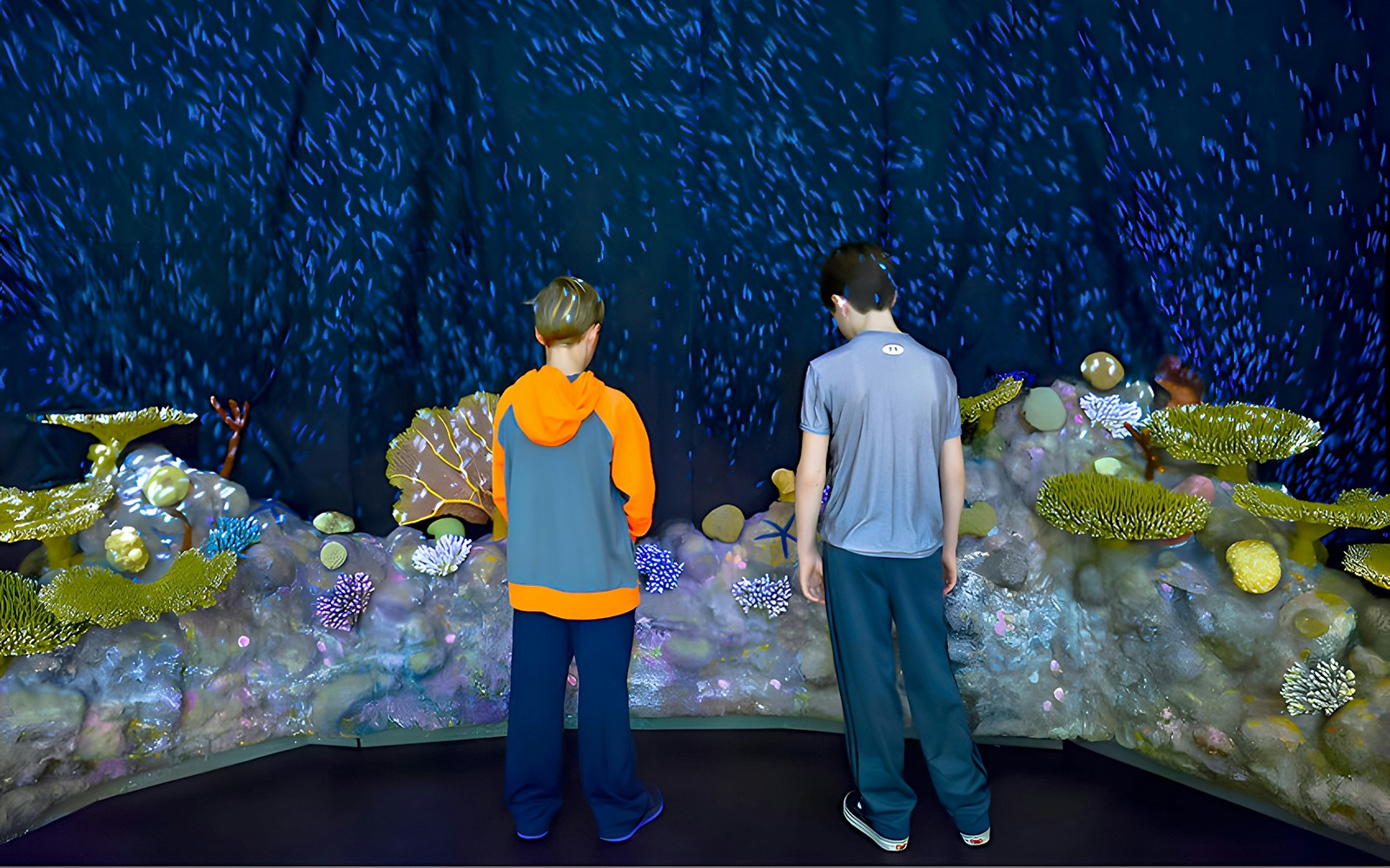 Guests observing coral reef display at 'Life at the Limits', American Museum of Natural History.