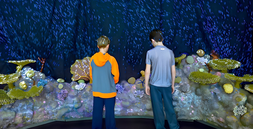 Guests observing coral reef display at 'Life at the Limits', American Museum of Natural History.