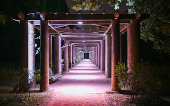 „serralves in light 2026“ – tickets-8