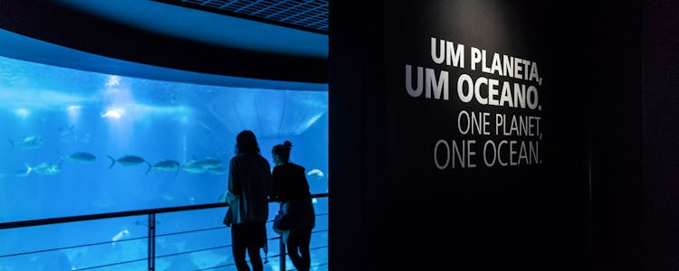 Ocean Tank - Oceanario Lisboa