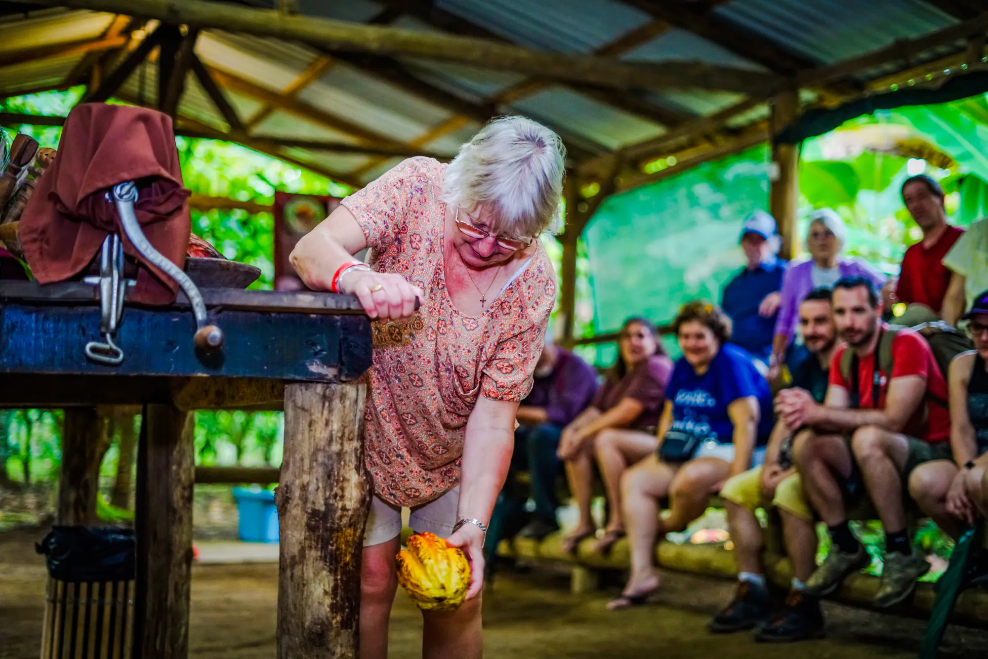 la fortuna rainforest chocolate tour with tastings-1