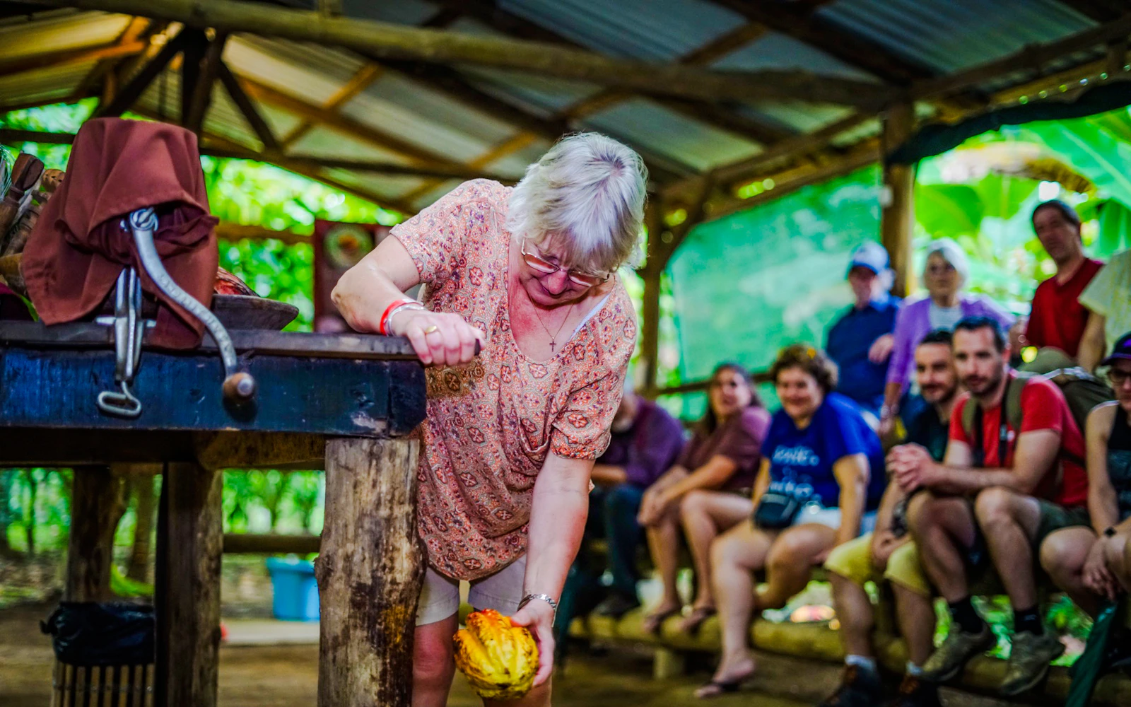 La Fortuna Rainforest Chocolate Tour with Tastings (Product 53425)