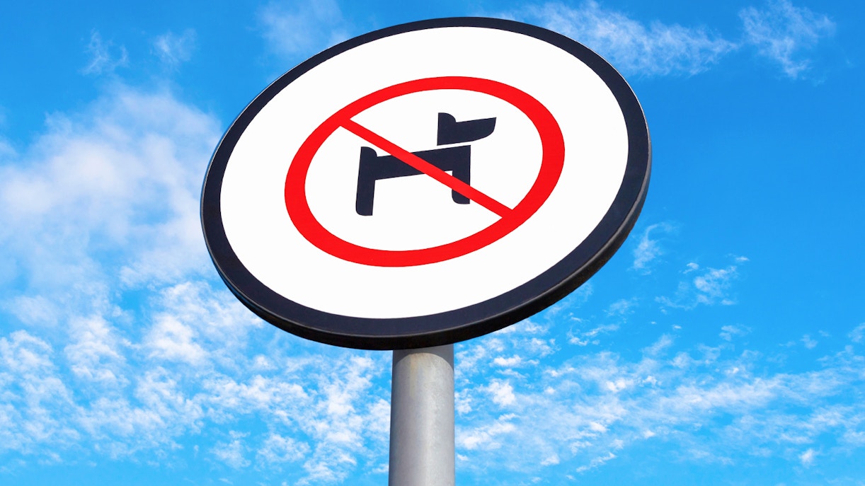 No pets allowed sign against blue sky.