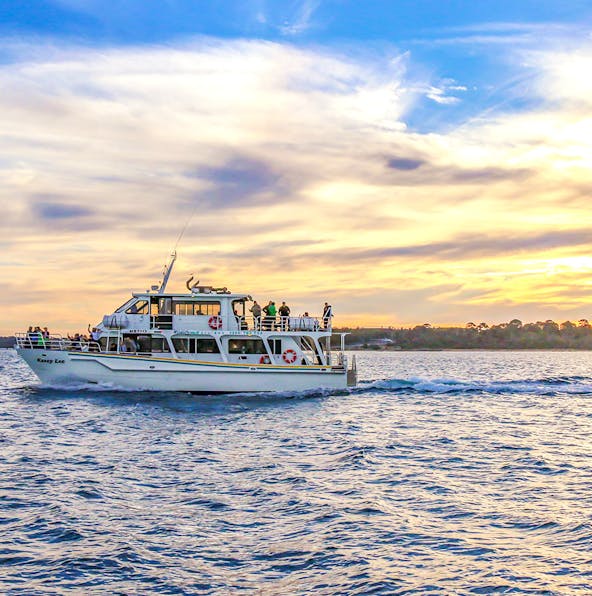 The perfect guide to Phillip Island cruises
