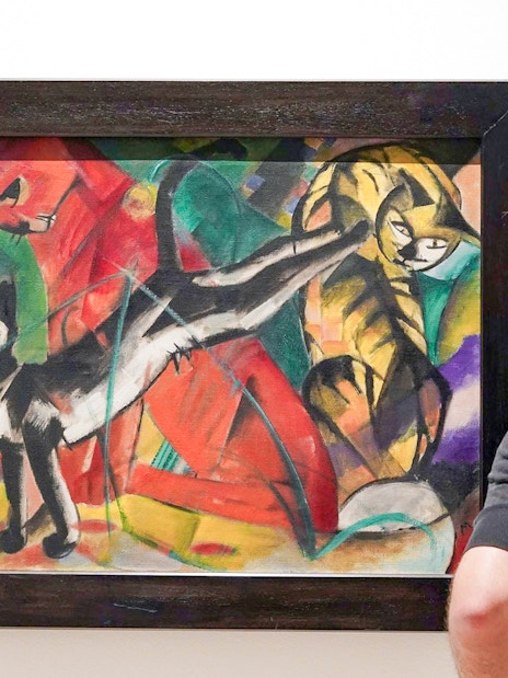 Visitor admiring a colorful painting of cats at Picasso Museum, Malaga.