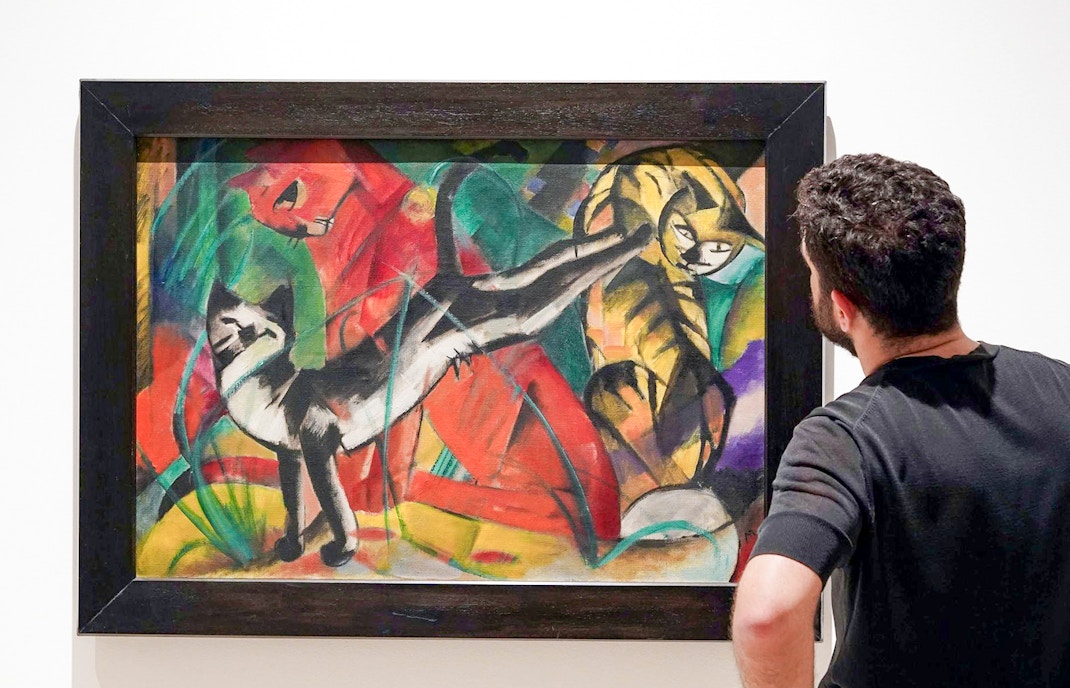 Visitor observing artwork at Picasso Museum, Malaga.