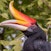 Bird Park
