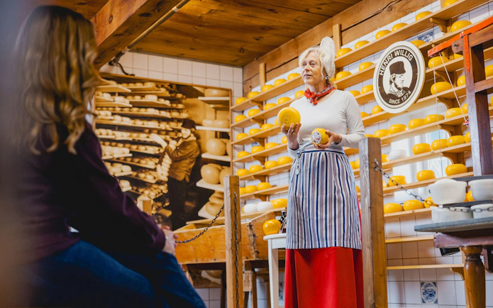 Cheese expert presenting Gouda wheels in a traditional Dutch cheese shop.