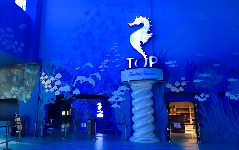 Entrance to the Penang Boutique Aquarium at The Top, featuring a seahorse sign and ocean-themed decor.
