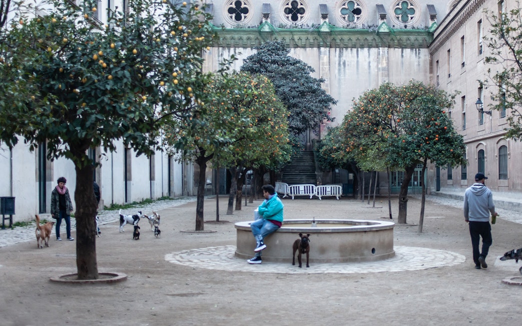 Courtyard with orange trees and people in Raval, Barcelona.