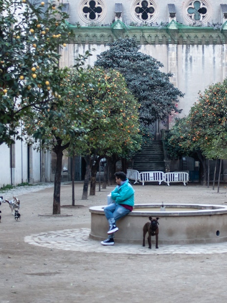 Courtyard with orange trees and people in Raval, Barcelona.