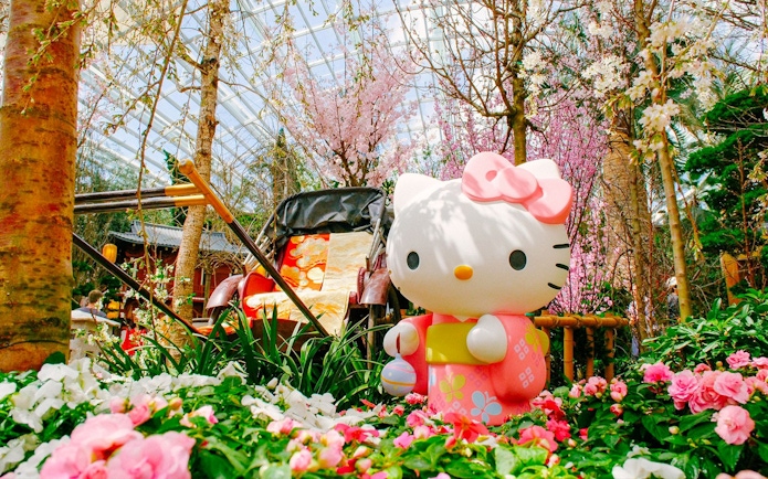 Hello Kitty statue among cherry blossoms at Gardens by the Bay Sakura event.