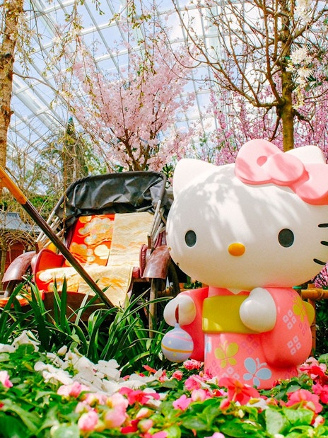 Hello Kitty statue among cherry blossoms at Gardens by the Bay Sakura event.