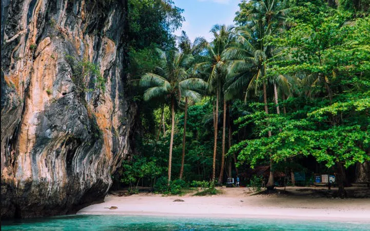 Hong Island beach with limestone cliffs and palm trees, Thailand.