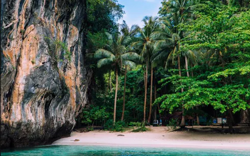 Hong Island beach with limestone cliffs and palm trees, Thailand.