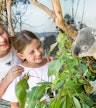 Zoo di Sydney