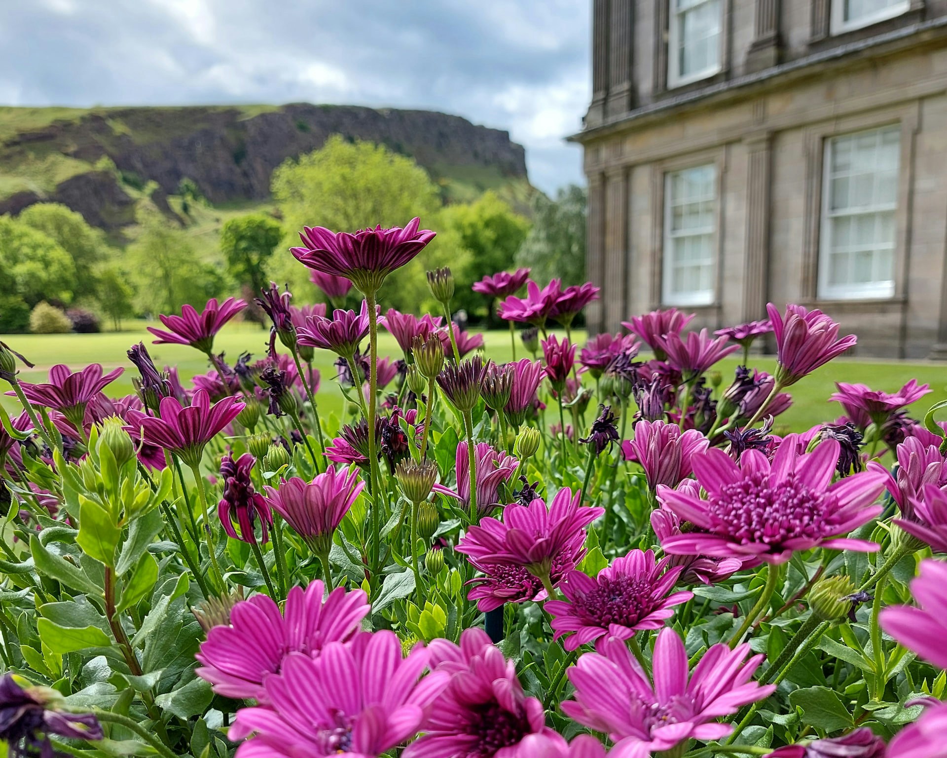 Royal gardens