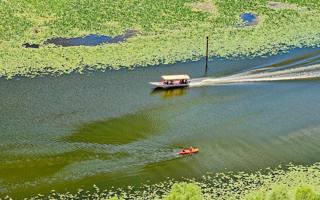 Kayakers and tour boat on Lake Skadar surrounded by green lily pads.