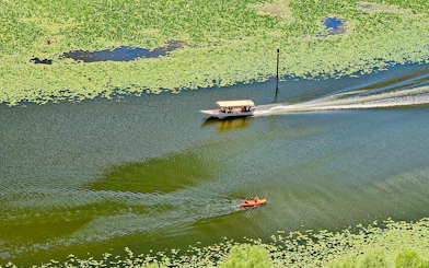 Kayakers and tour boat on Lake Skadar surrounded by green lily pads.