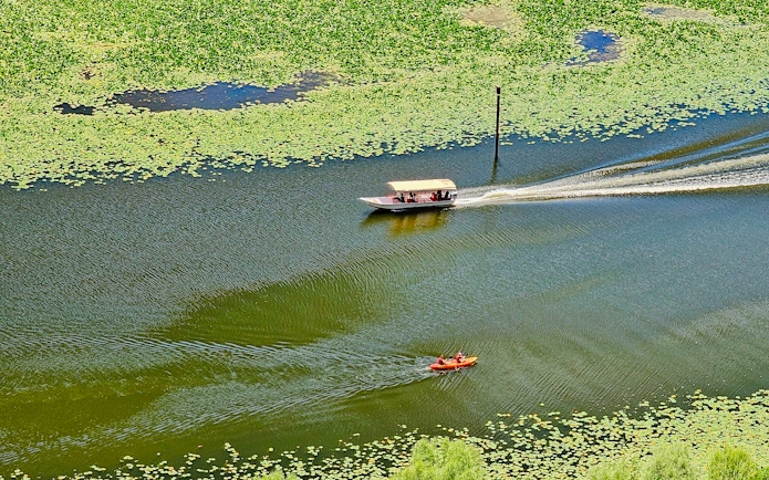 Kayakers and tour boat on Lake Skadar surrounded by green lily pads.