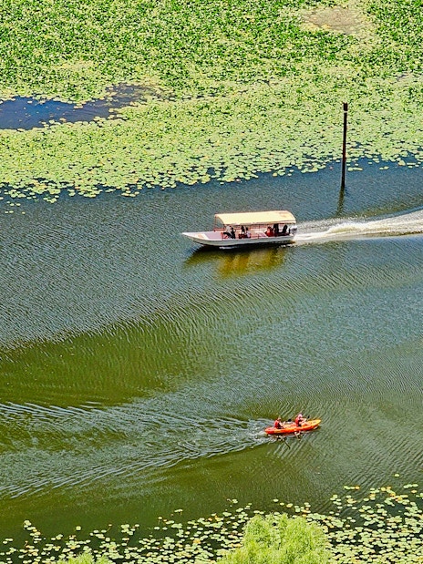Kayakers and tour boat on Lake Skadar surrounded by green lily pads.