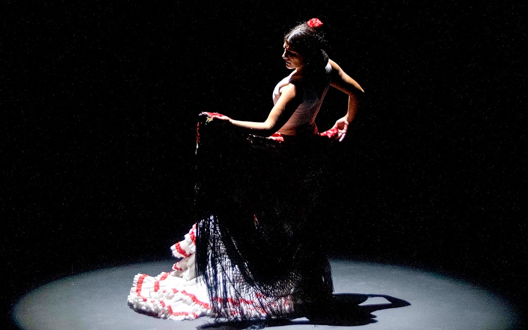 Flamenco dancer performing on stage during Pasión espectáculo flamenco.
