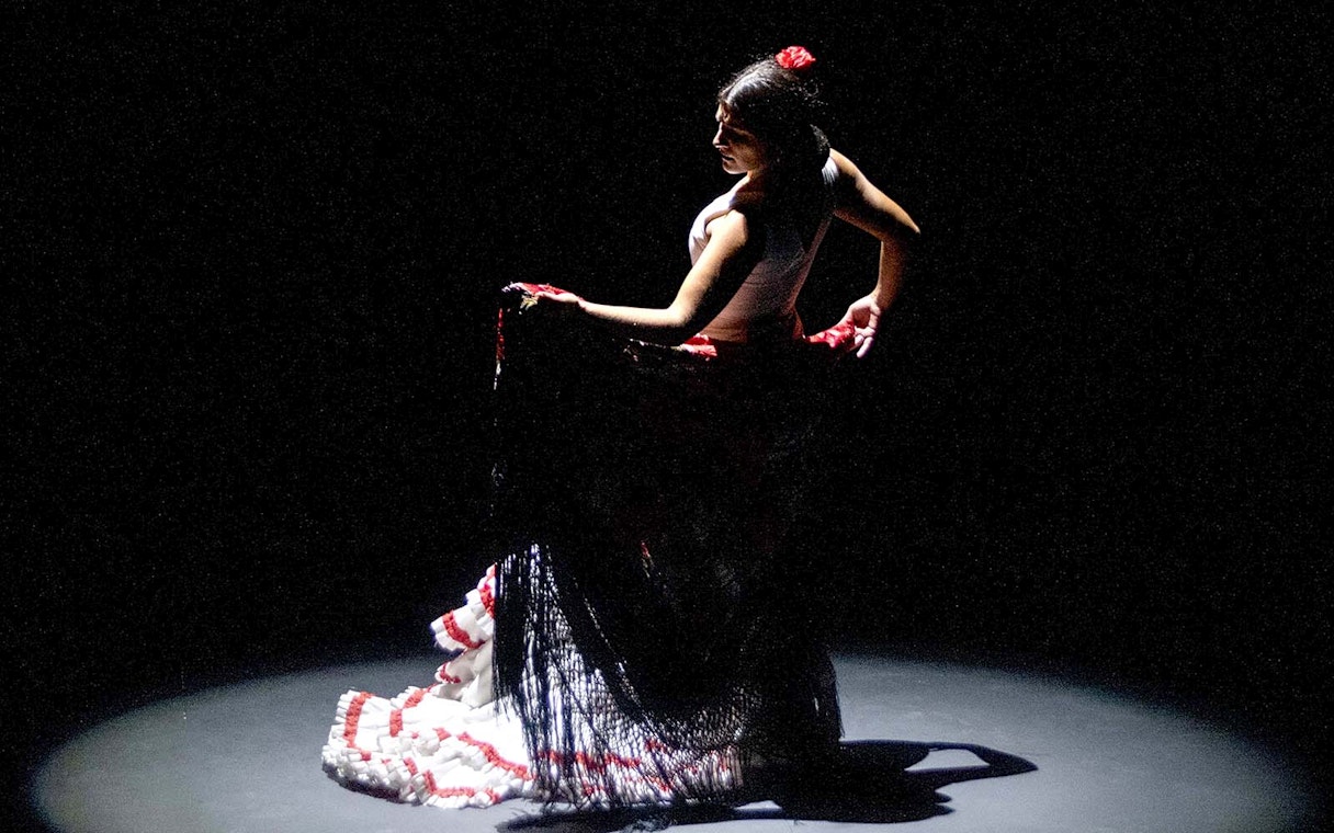 Flamenco dancer performing on stage during Pasión espectáculo flamenco.