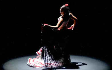 Flamenco dancer performing on stage during Pasión espectáculo flamenco.
