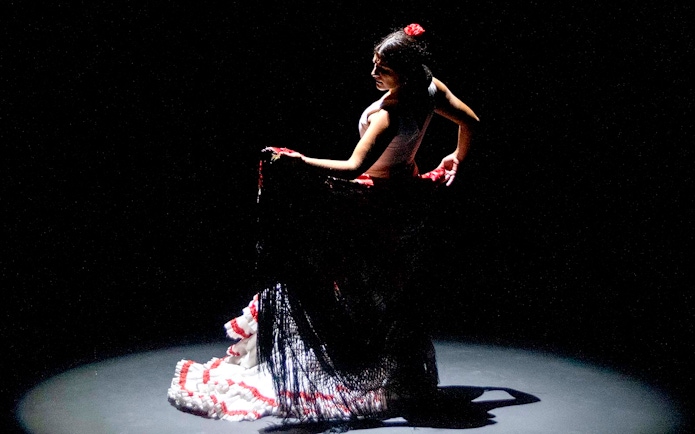Flamenco dancer performing on stage during Pasión espectáculo flamenco.