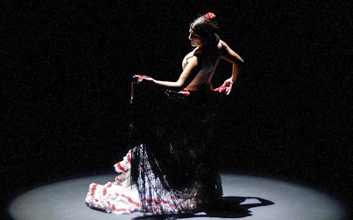 Espectáculo Pasión en el Teatro Flamenco de Sevilla