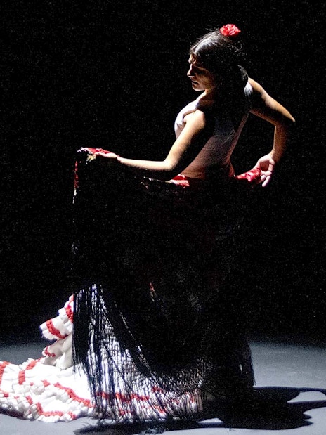 Flamenco dancer performing on stage during Pasión espectáculo flamenco.