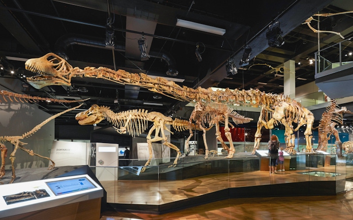 Dinosaur skeleton exhibit at Melbourne Museum.