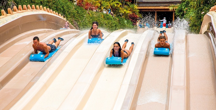 Loro Parque and Siam Park combo tickets