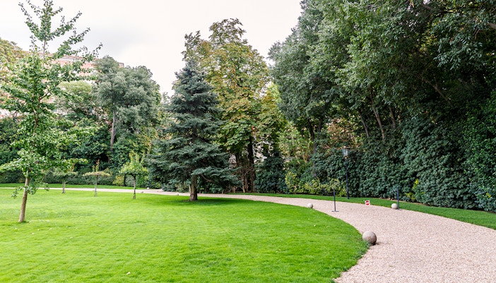 Pathway through lush garden