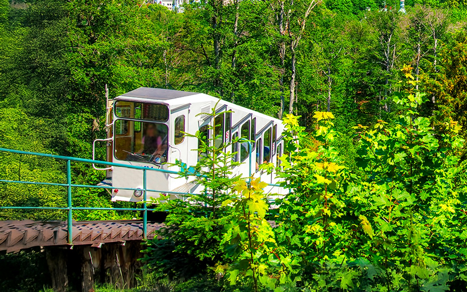 Funicular ascending through lush forest in Karlovy Vary.