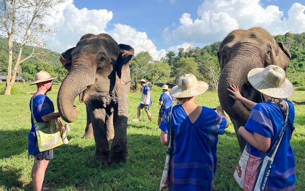 Guests interact with elephants at Chiang Mai sanctuary.