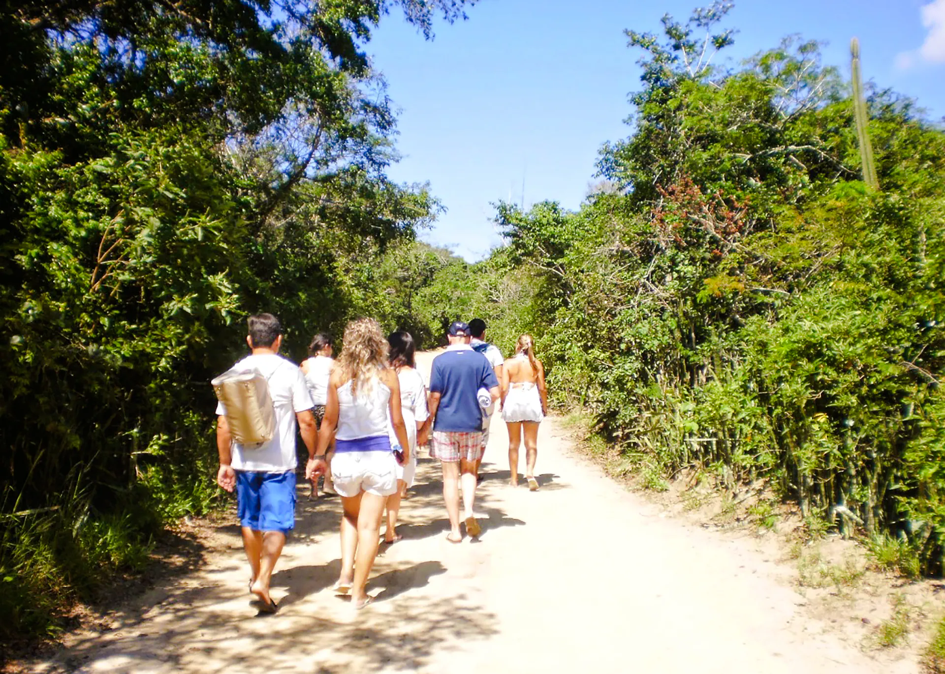 Group walking on a forest trail in Emerências and José Gonçalves, Rio de Janeiro.