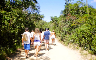 Group walking on a forest trail in Emerências and José Gonçalves, Rio de Janeiro.