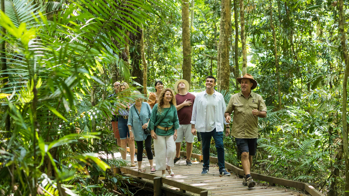 Group walking on a boardwalk through Daintree Rainforest during Great Barrier Reef tour.